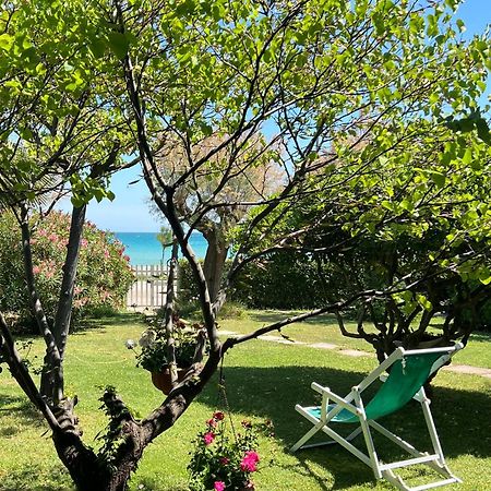 B&B I Versi Del Mare Roseto Degli Abruzzi Exteriér fotografie